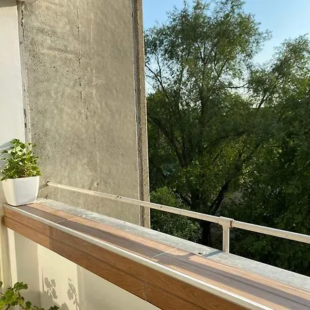 Sunny Corner * Белград
